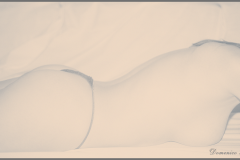 Lith_Print