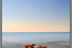 Moonlight