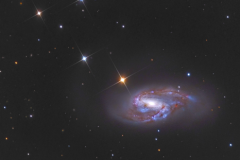 m65-66_2020_04_12