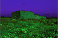 windy-night