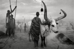 Sebastiao-Salgado-GENESIS-02